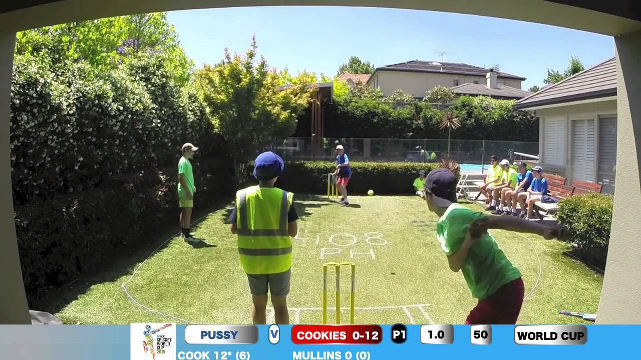 Backyard Cricket World cup game 4
