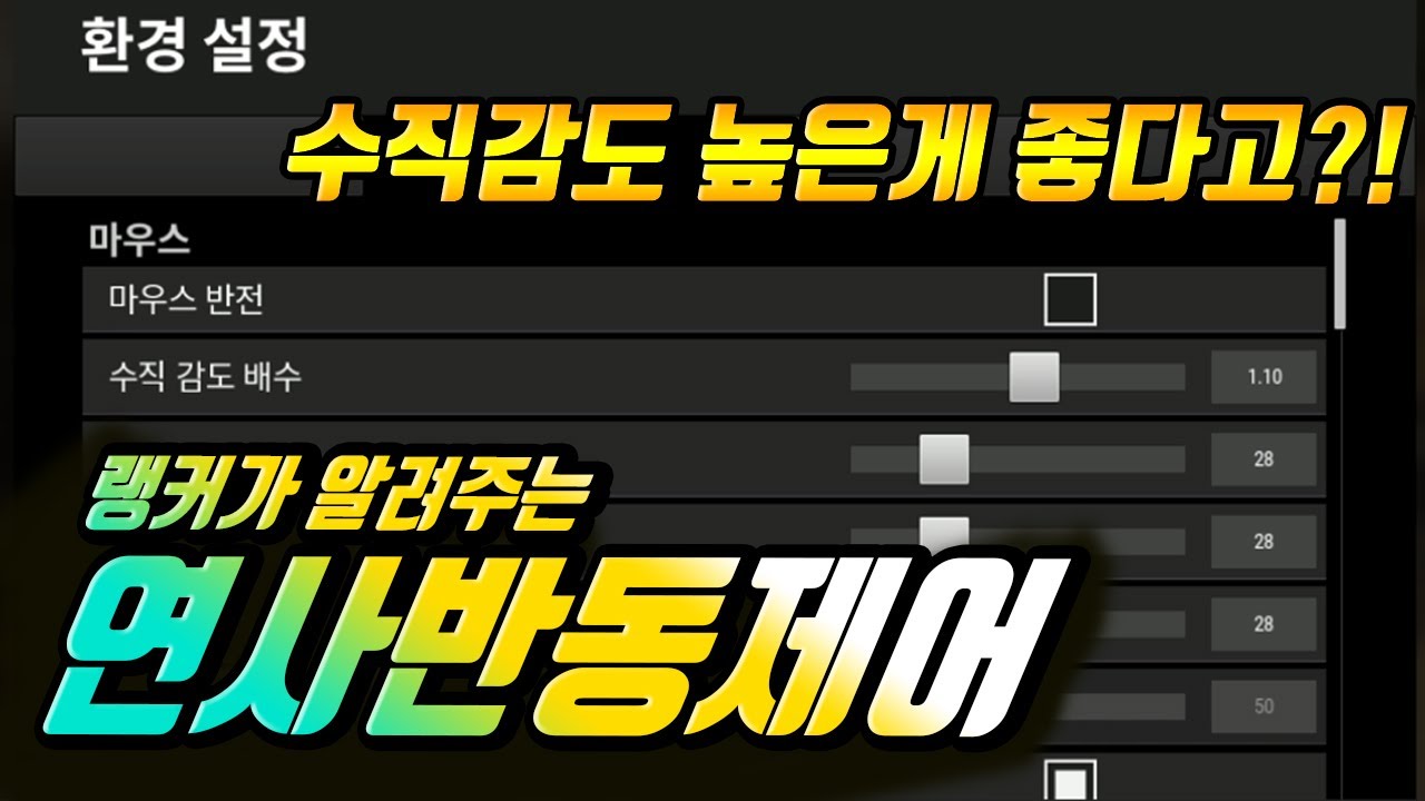 랭커의 수직감도 완벽 정리! 연사 반동제어의 비밀 l 배그 감도 l 에임 l 배그 반동제어 l