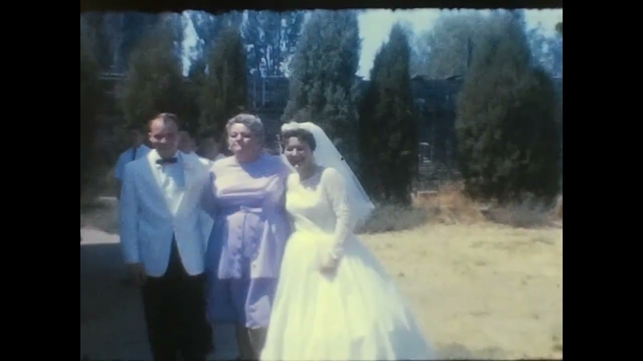 Dan and Linda wedding