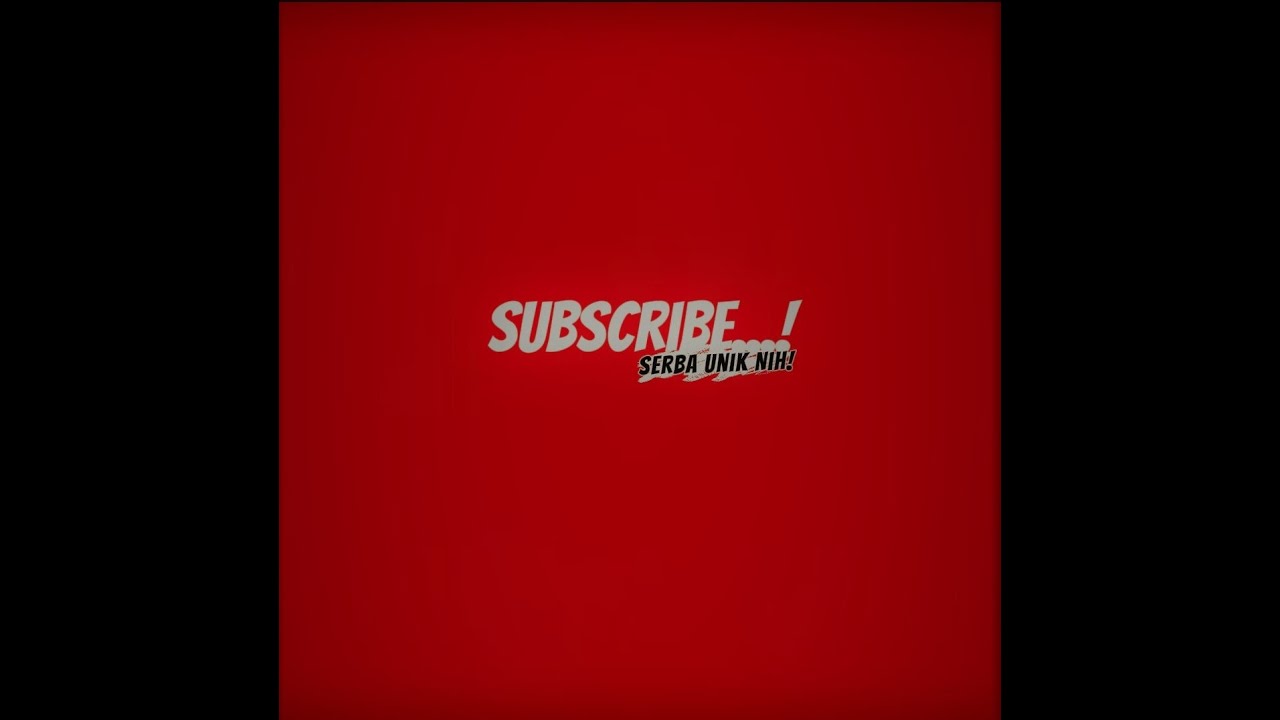 My Broadcast