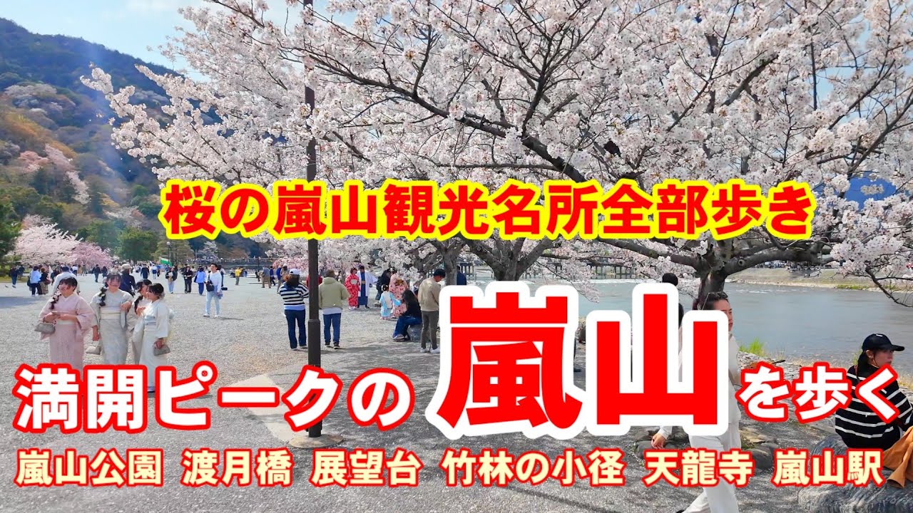 4/8(火)満開ピークの嵐山🌸桜の観光名所全部歩き【4K】嵐山中ノ島公園/渡月橋/商店街/嵐山駅/天龍寺/大堰川/亀山展望台/竹林の小径/Arashiyama