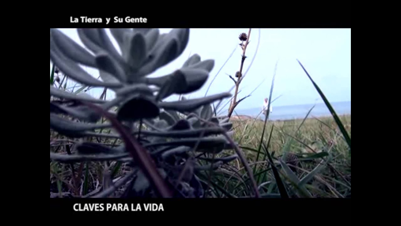 Claves para la Vida 3: 