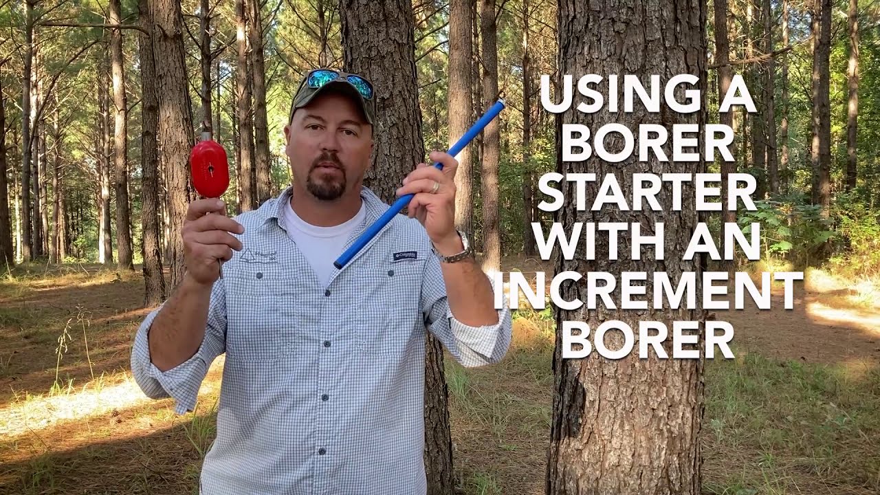 Haglöf Increment Borer - Using an Increment Borer Starter