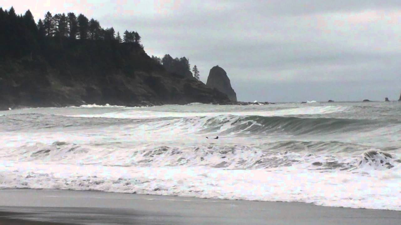 Surfers at La Push, WA.
