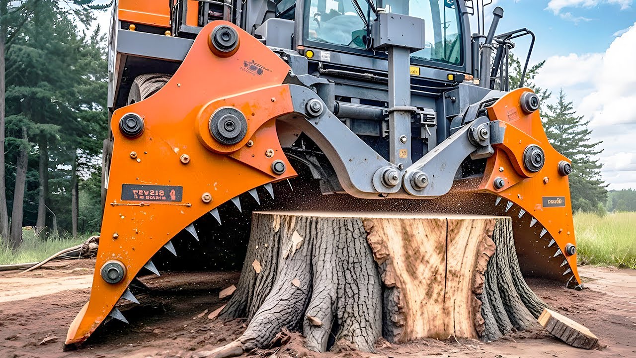 Insane Tree Cutting Machines That Are On Another Level