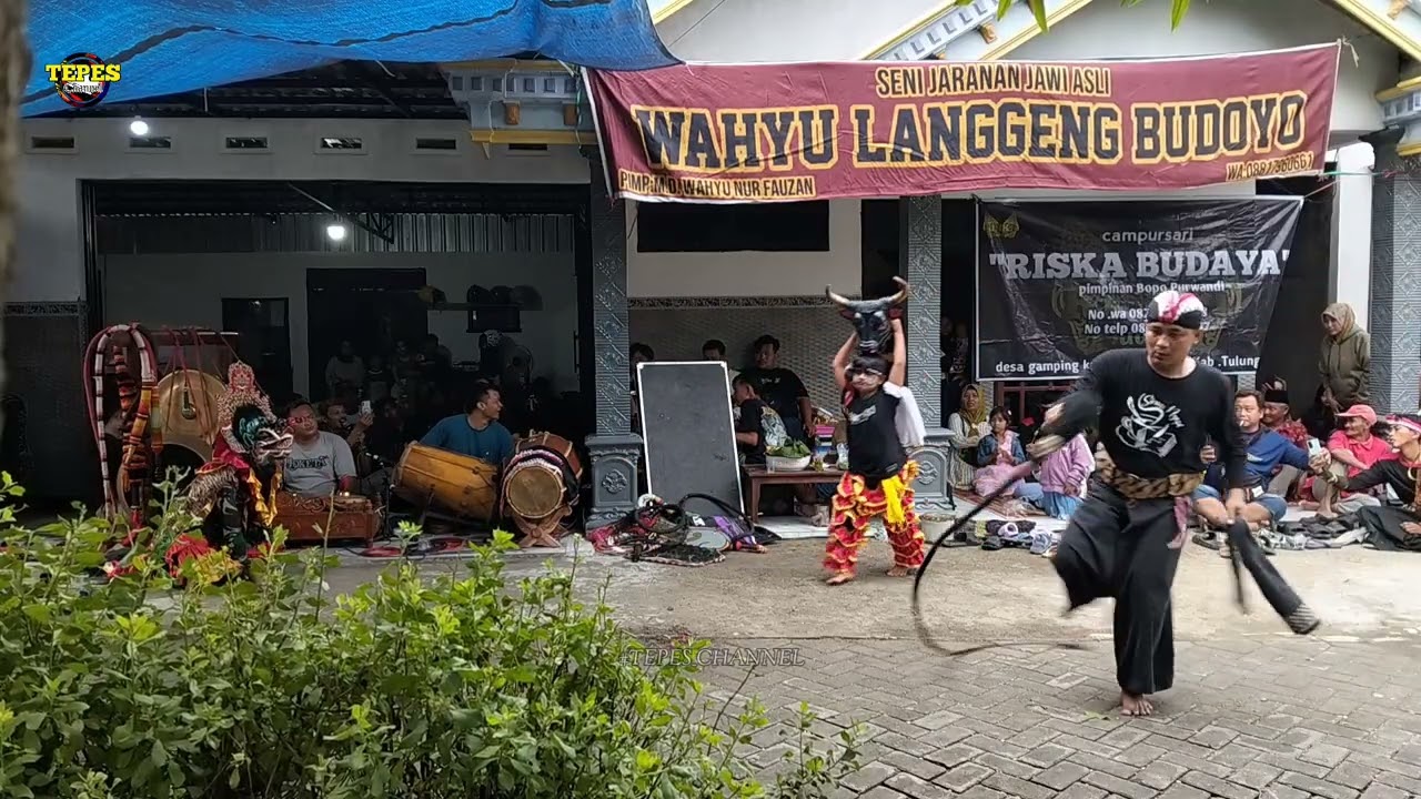 Tari Kucingan & Batengan Suro Jaranan WAHYU LANGGENG BUDOYO Live Gamping Campurdarat Tulungagung 