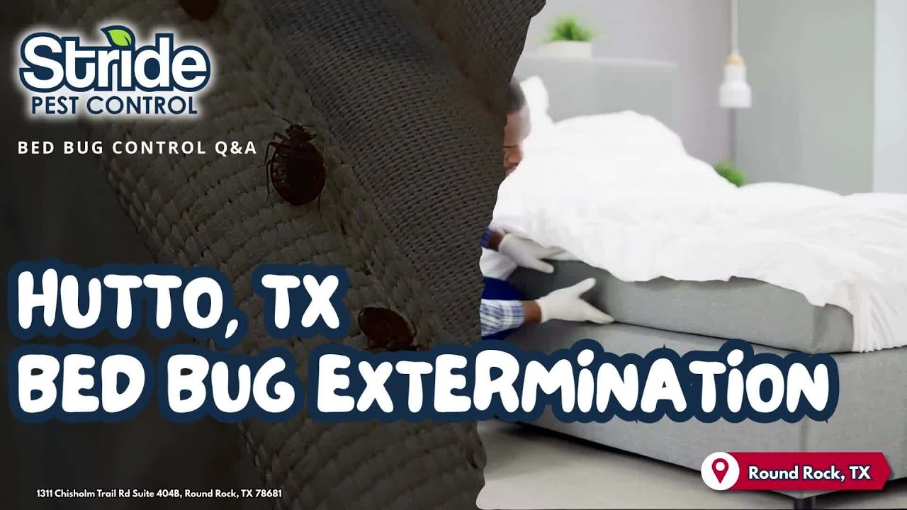 Hutto, TX Bed Bug Extermination (512) 254-8185