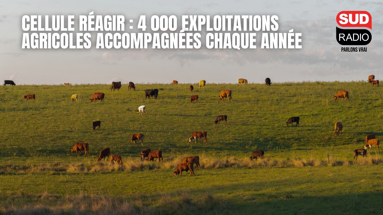 Dispositif RÉAGIR : 4 000 exploitations agricoles accompagnées chaque année