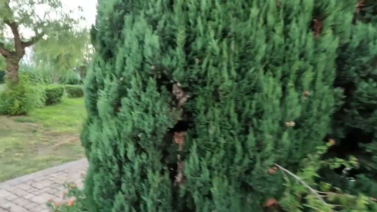 vlog Puglia 2025