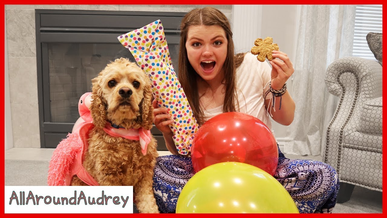 24 Hours Spoiling My Dog / AllAroundAudrey