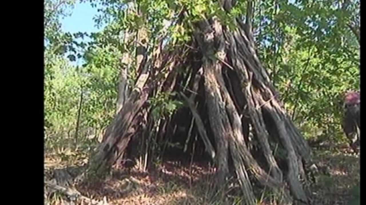 Northern California Sasquatch Stories #5