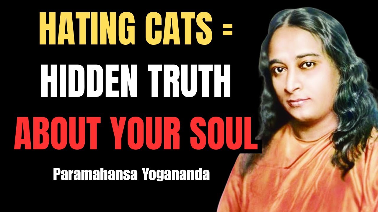 ✔️ The Hidden Psychology of People Who Don’t Love Cats | Paramahansa Yogananda