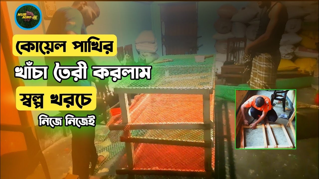কোয়েল পাখির খাঁচা তৈরি করলাম স্বল্প খরচে | খাঁচা তৈরী | কোয়েল পাখির খাঁচা তৈরী |