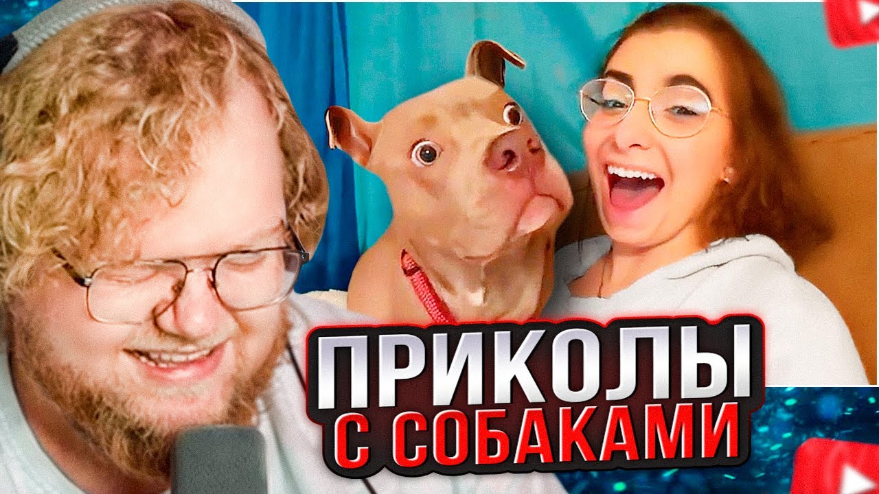 T2x2 СМОТРИТ: ЛУЧШИЕ ВИДЕО С СОБАКАМИ ЗА ПОСЛЕДНИЕ 10 ЛЕТ