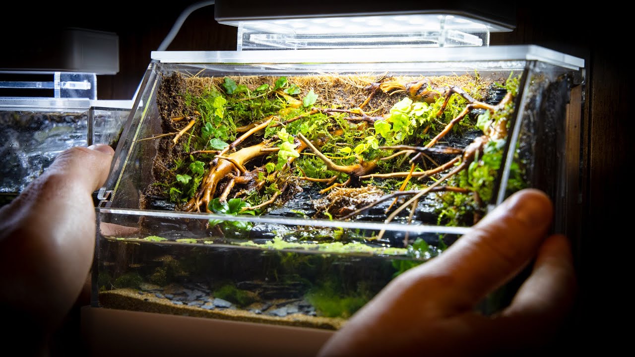 Mini Complete Paludarium with Waterfalls