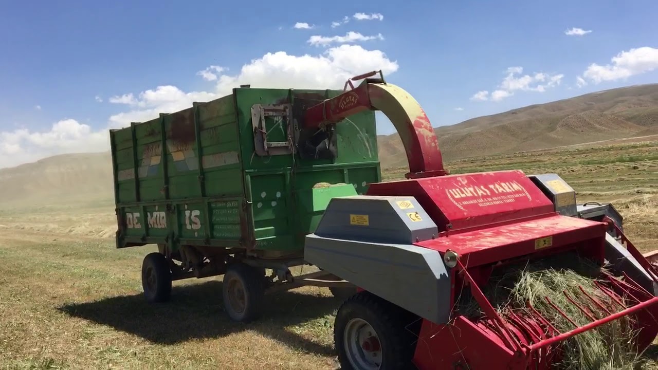 Td75 kobra patos