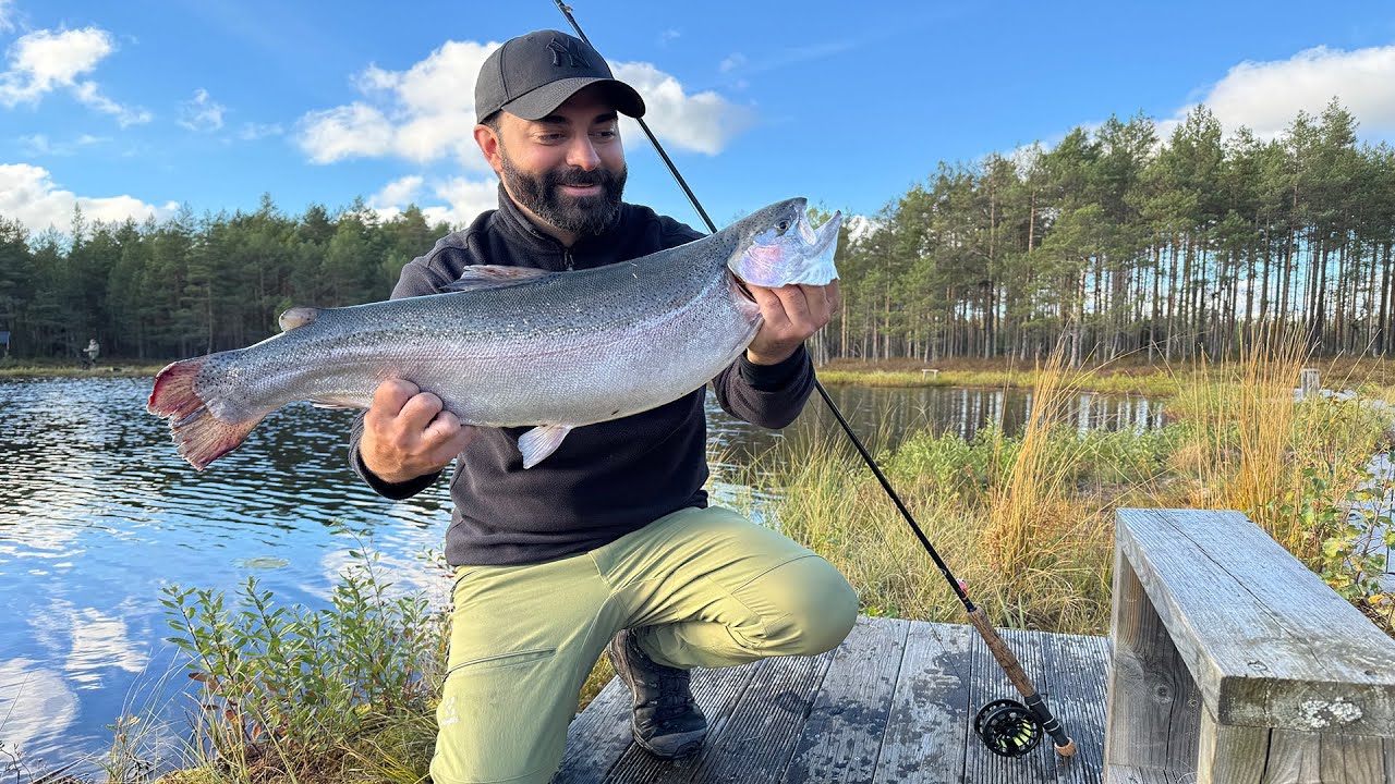 Nytt PB i regnbågsfiske  - Grycksbo levererar! | Fiskefokus
