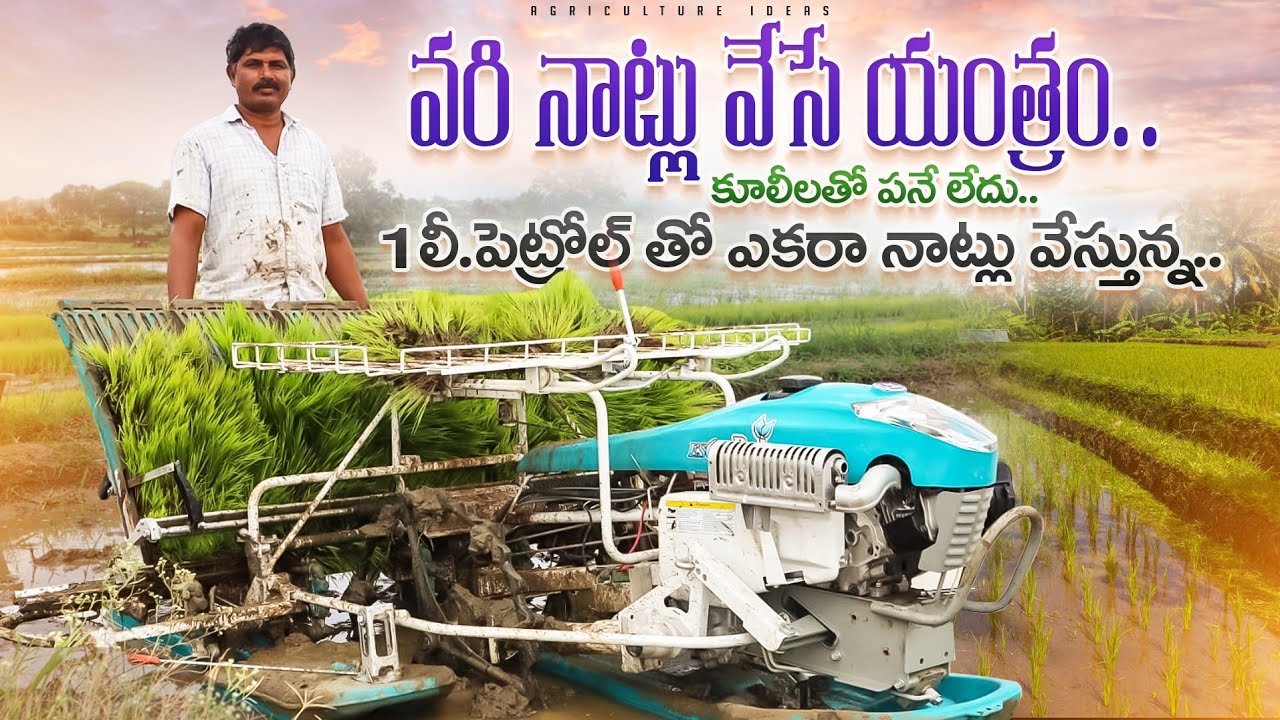 Rice Transplanting Machine | వరినాట్లు వేసే యంత్రం | Paddy Transplantation Machine |Shiva Agriclinic