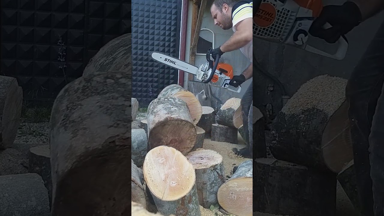 STİHL MS 251 Gürgen odunu doğrama.