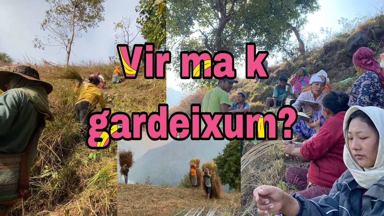 Lardei virma k gardeixum k garnu ko lagi yo sab?🧐enjoy this video @Binisa-vlog12 #subscribe 🙏