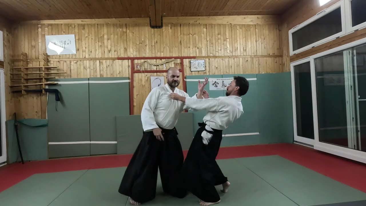[AIKIDO] Comment maki-otoshi facilite les techniques sur mune dori ? (2025)