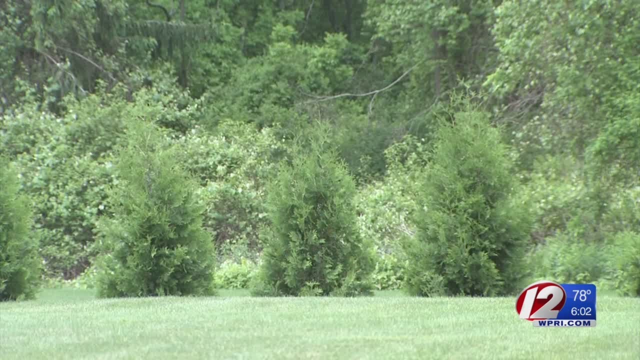 Feds file claim on small fortune in alleged drug money found by kids in woods