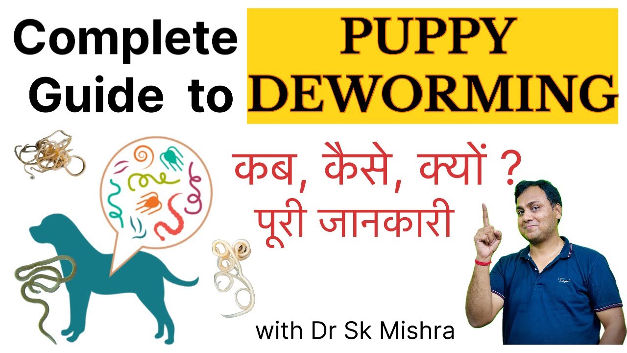 Puppy Deworming Schedule: Complete Guide with Dr Sk Mishra