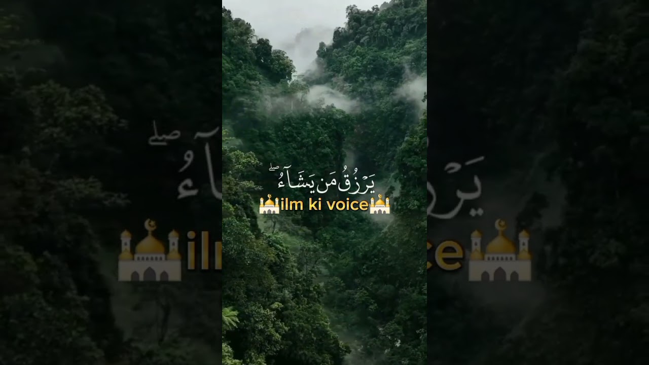 Picture about the Amazon forest and the animals inside it ilm ki voice