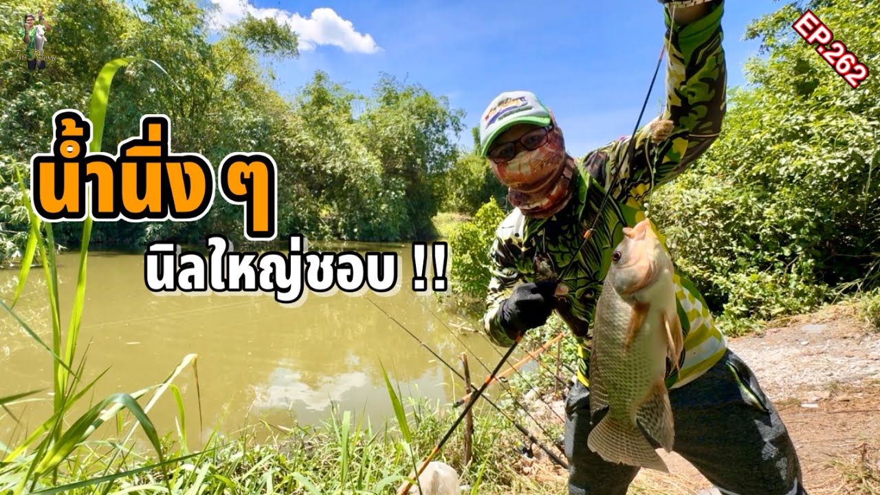 ตกปลานิลคลองธรรมชาติ “น้ำนิ่งๆ แต่ปลาไม่ธรรมดา” ปลาไซส์สวยมาก (พิกัดหมายใต้คลิป)