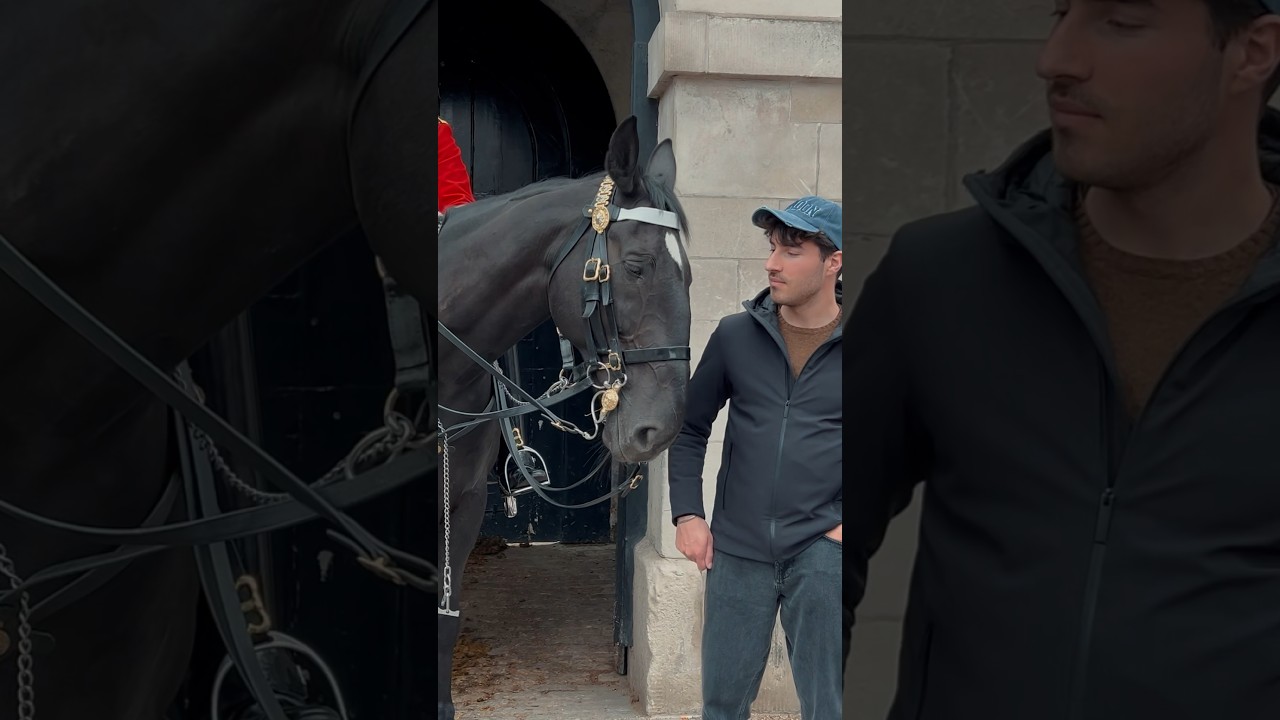 NOBODY EXPECTED THIS ✨🐎❤️ | Horse Guards, Royal guard, Kings Guard, Horse, London, 2024
