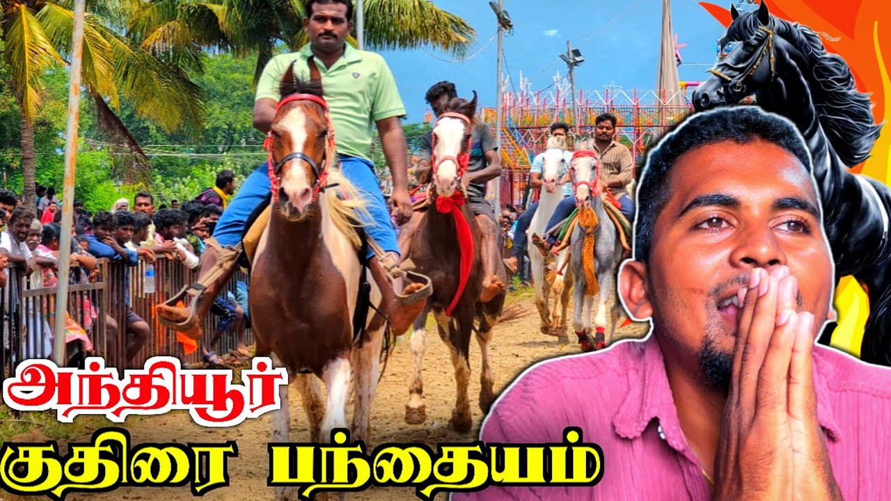 🔥அந்தியூர் குருநாதசாமி குதிரை பந்தயம் | ANTHIYUR GURUNATHASAMY HORSE MARKET🤯🦄 | HORSE SHOW | K7