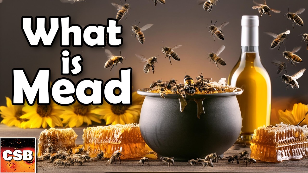 What is Mead?  And why you should make your own mead at home!