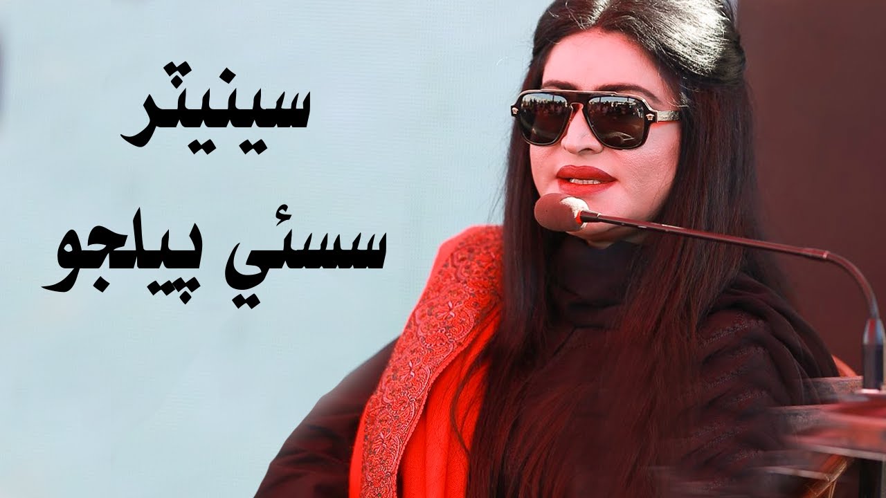 Senator Sassui Palijo Talking About Water Shortage Issue in Sindh | Water Crisis Reasons