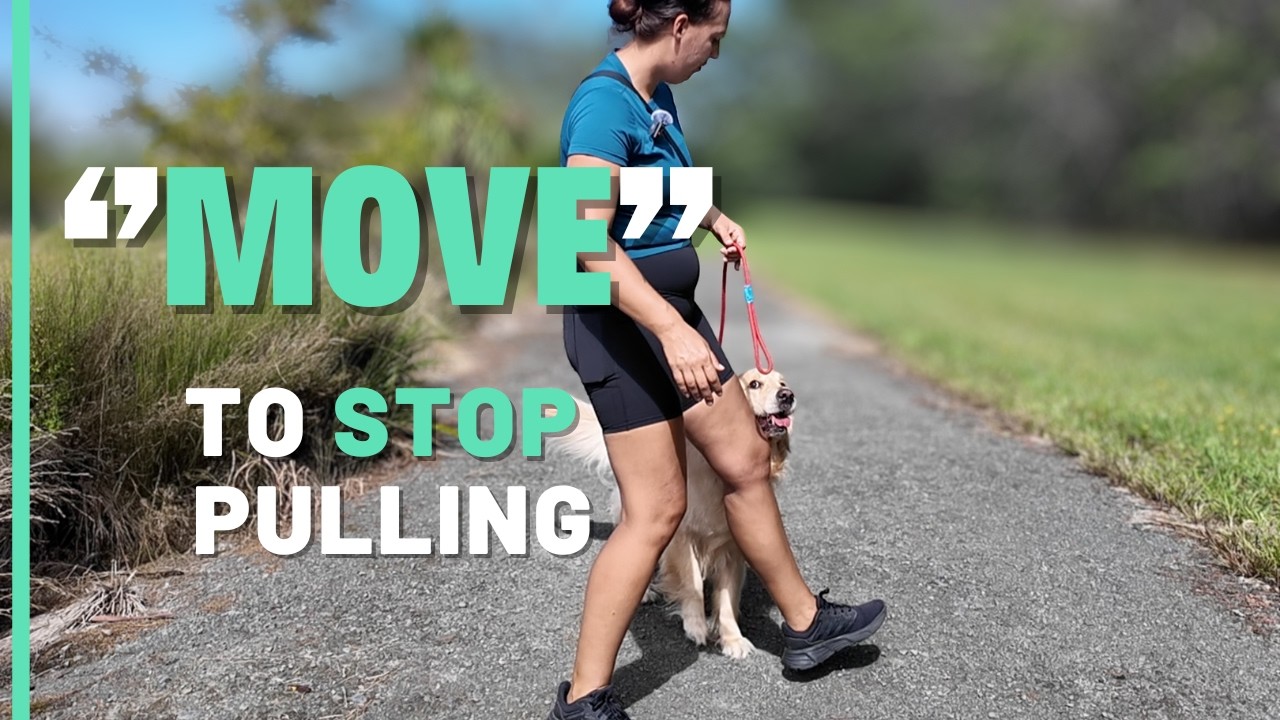 Teach MOVE to b your dog to STOP your dog PULLING ON LEASH