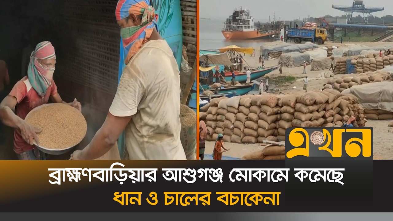 ভারতীয় চাল আমদানির কারণে বাজারে দেশি চালের চাহিদা কম | Rice Import | India | Brahmanbaria | Ekhon TV
