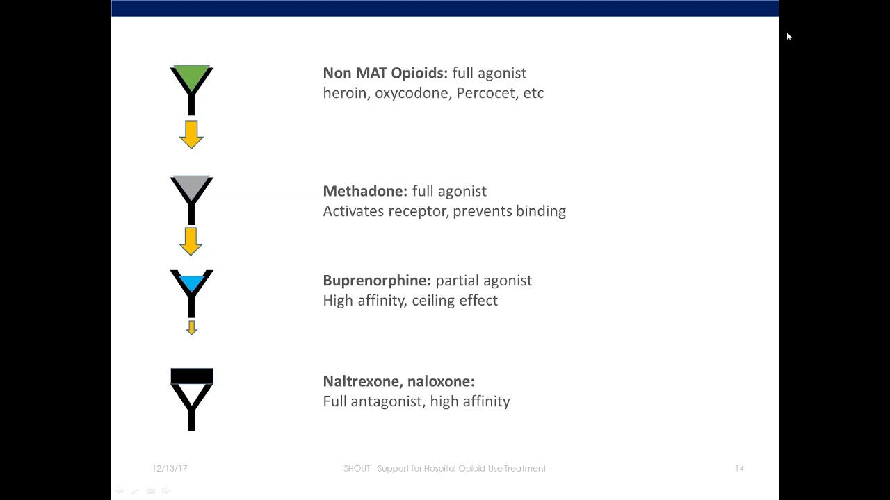 Webinar — Acute Pain and Perioperative Management in Opioid Use Disorder (12/13/2017)