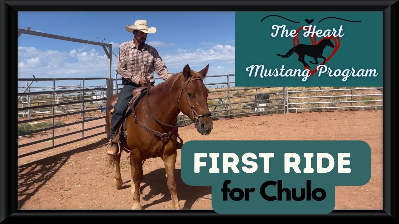 First Ride On Heart Mustang IEH Chulo - How laying a solid groundwork foundation pays off