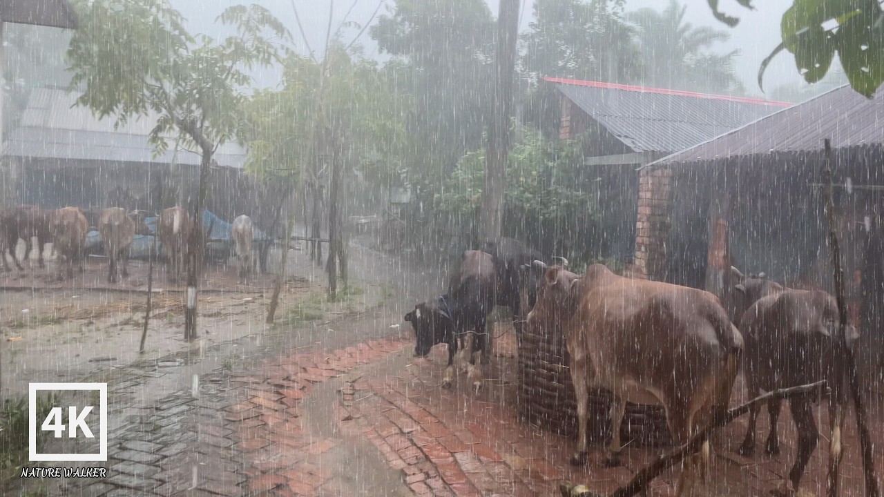 Walking in Heavy Rain Through a Quiet Village | Soothing Countryside Rain Sounds for Deep Relaxation
