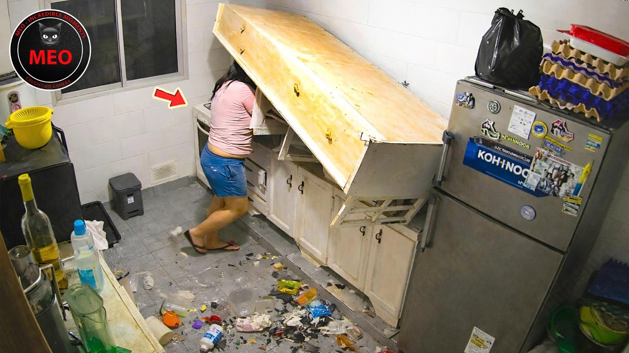 EXTREME Try Not To Laugh Challenge | Idiots at Work & Instant Regret Fails Compilation