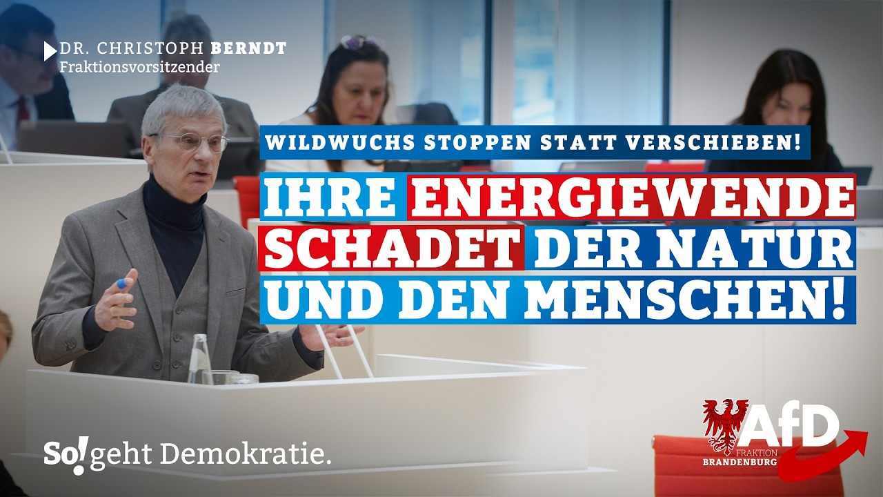 💨🫷 Ihre Energiewende schadet der Natur und den Menschen und bereichert nur die Lobby!