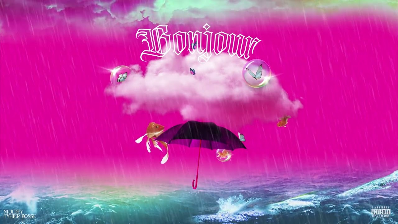 Niuldey, Tyhler Rosse - “Bonjour” (Visualizer) #Rainstorm💿☔️