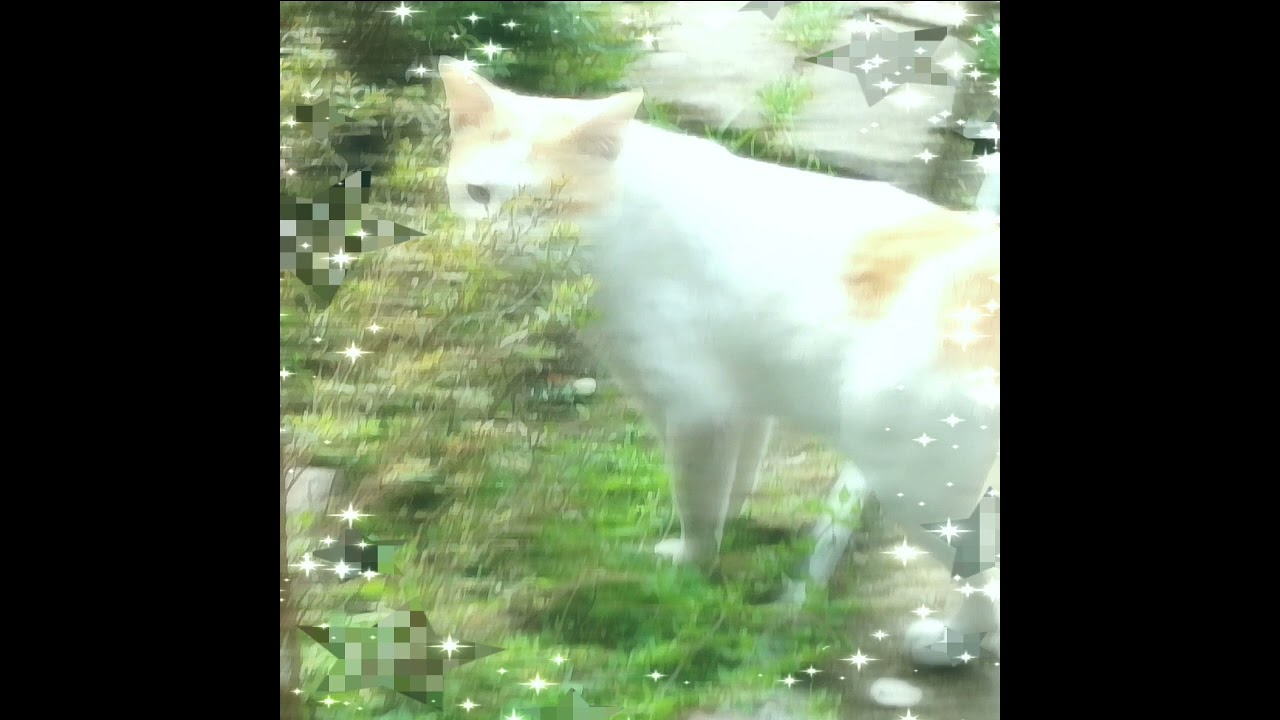 lostrushi - me = you