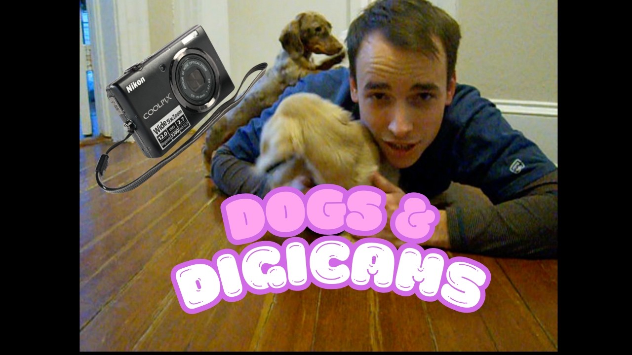 Dogs and Digicams 💫