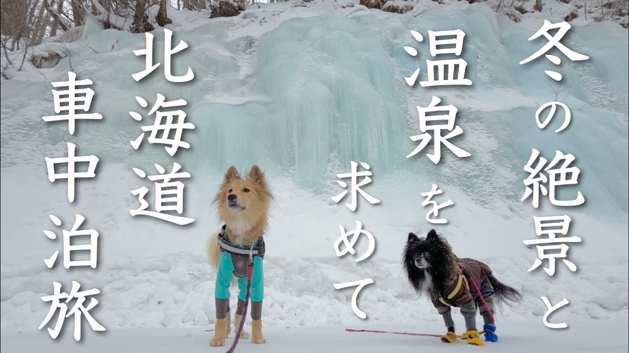 【北海道・冬〜犬と私のキャンピングカー旅】ドカ雪の札幌はスタック・交通麻痺😱キャンピングカーで札幌を脱出出来るのか⁉️〜冬の絶景・温泉をとことん！楽しむ車中泊旅①