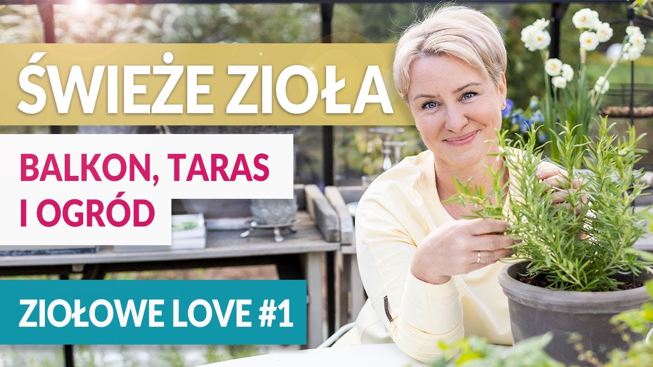 ŚWIEŻE ZIOŁA! na balkon, taras i do ogrodu 🌱 ZIOŁOWE LOVE #1