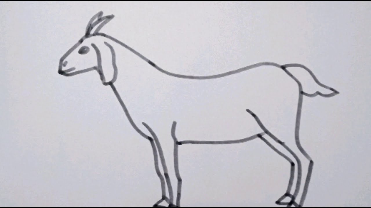 How to draw a Goat easy drawing step by step//easy goat outline drawing//easy goat drawing