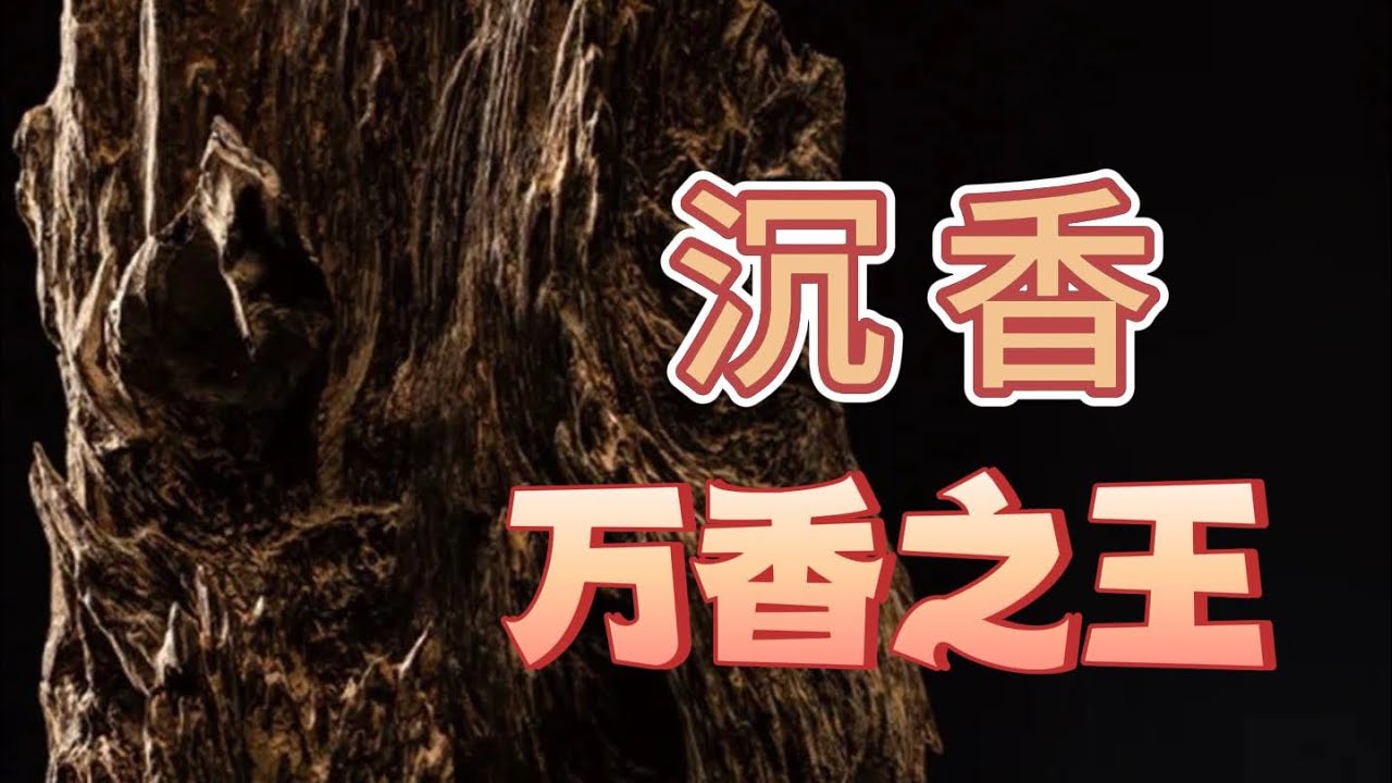 沉香万香之王四大名香之首