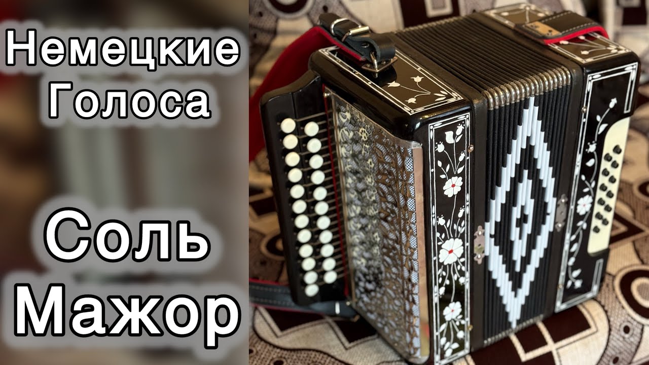 ГАРМОНЬ С НЕМЕЦКИМИ ГОЛОСАМИ!!! СОЛЬ МАЖОР!!!
