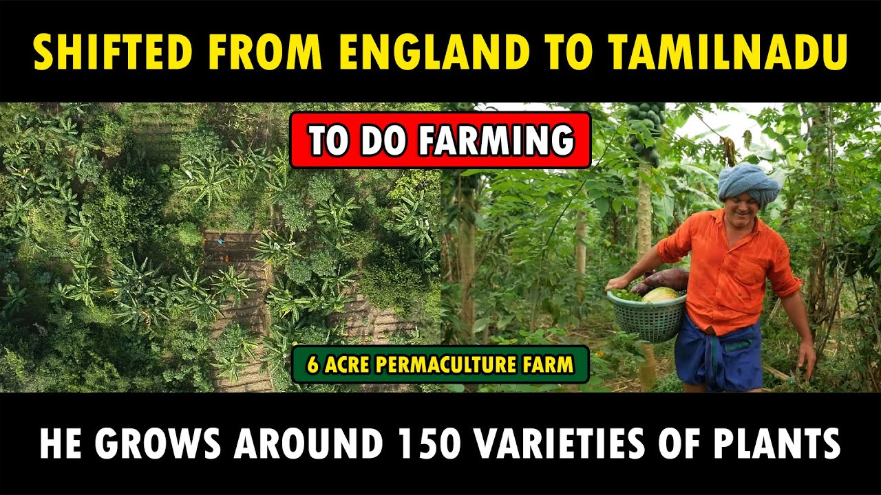 Incredible Natural Food Forest | Permaculture Farm | Sustainable Integrated Farming System