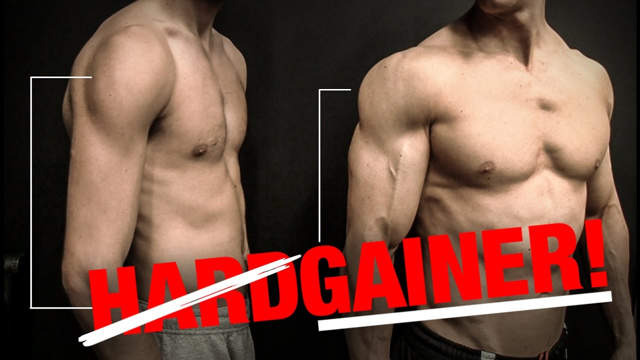 Shoulder Workout Tips for Size (HARDGAINER EDITION!)